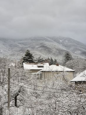 Фотопоглед