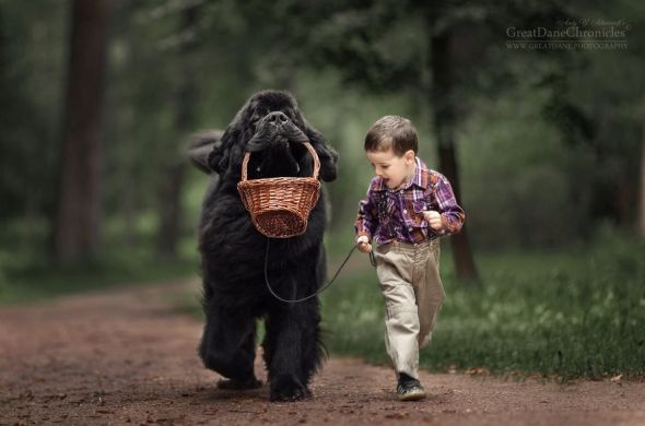 Фотопоглед Фотопоглед