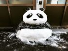 Снимка: boredpanda.com