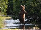 Снимка: Facebook/Comedy Wildlife Photography Awards