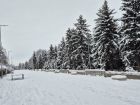 Снимка: Az-deteto.bg/Мирела Любенова