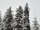 Снимка: Az-deteto.bg/Мирела Любенова