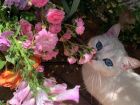 Снимка: Cloudss
