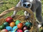 Снимка: Зоопарк Бургас / ZOO Burgas-различният зоопарк	