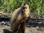 Снимка: Зоопарк Бургас / ZOO Burgas-различният зоопарк