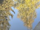 Снимка: Мирела Любенова