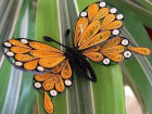 Есенна пеперуда от Виктория Георгиева на 11 г.