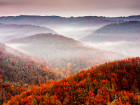 Красота и есенна мъгла при река Велека у нас. 